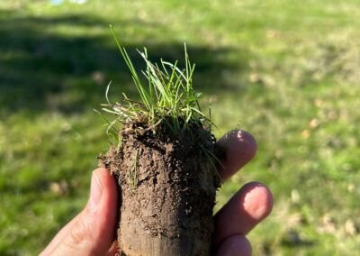 Estudio de compost y muestras en granjas para aumentar la biomasa forestal