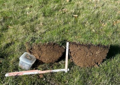Estudio de compost y muestras en granjas para aumentar la biomasa forestal