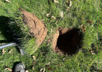 Estudio de compost y muestras en granjas para aumentar la biomasa forestal