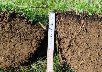 Estudio de compost y muestras en granjas para aumentar la biomasa forestal