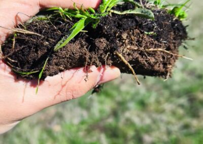 Estudio de compost y muestras en granjas para aumentar la biomasa forestal