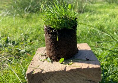 Estudio de compost y muestras en granjas para aumentar la biomasa forestal