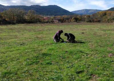 Estudio de compost y muestras en granjas para aumentar la biomasa forestal