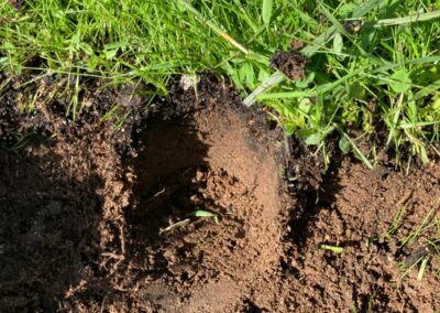 Estudio de compost y muestras en granjas para aumentar la biomasa forestal