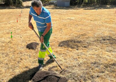 Estudio de compost y muestras en granjas para aumentar la biomasa forestal