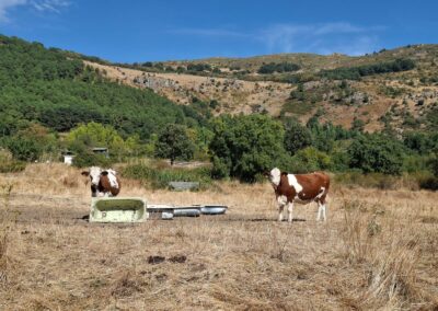 Estudio de compost y muestras en granjas para aumentar la biomasa forestal
