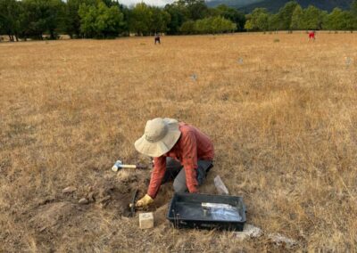 Estudio de compost y muestras en granjas para aumentar la biomasa forestal