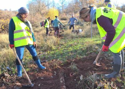 Recuperación de fuentes con acciones de voluntariado