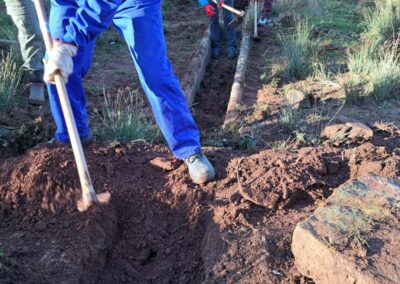 Recuperación de fuentes con acciones de voluntariado